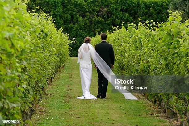 Newly Weds Walking Through Vineyard Stock Photo - Download Image Now - Adult, Beautiful People, Beauty