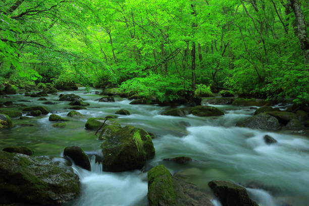 präfektur sommergebirge - spring waterfall japan landscape stock-fotos und bilder