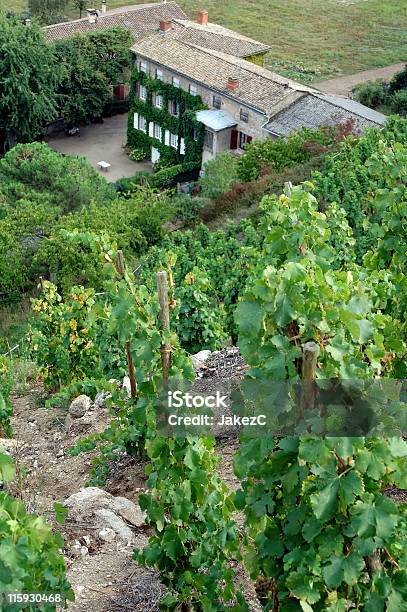 Condrieu Vigneti Del Sito - Fotografie stock e altre immagini di Azienda vinicola - Azienda vinicola, Casa, Vite - Flora