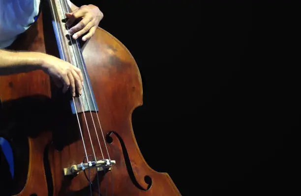 Photo of The musician playing contrabass musical instrument.