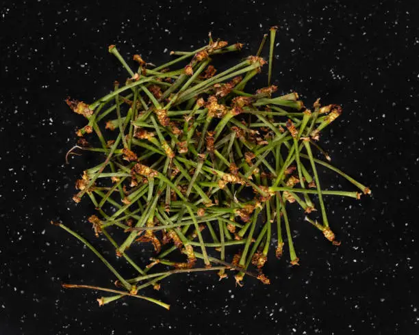 Dried cherry stems used for tea in alternative medicine isolated on black.