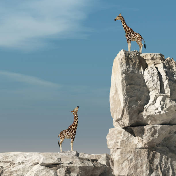 istock Giraffe looks up to another giraffe at higher altitude on a rock. 3d render 1159308836