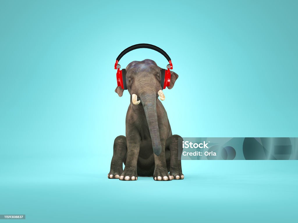 Elephant Sitting Down And Listening Music 3d Render Stock Photo - Download  Image Now - iStock