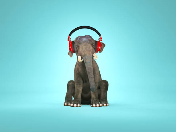 elephant sitting down and listening music . 3d render - safari animals audio imagens e fotografias de stock
