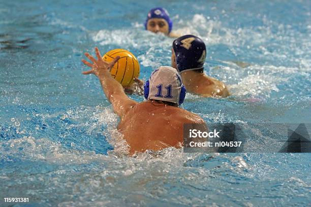 Waterpolo Jogador - Fotografias de stock e mais imagens de Pólo Aquático - Pólo Aquático, Alcançar, Apontar