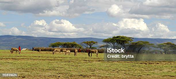 Foto de Masai Kraal Cercado Por Um Arbusto Espinheiro Muro e mais fotos de stock de Acácia - Acácia, Ajardinado, Aldeia