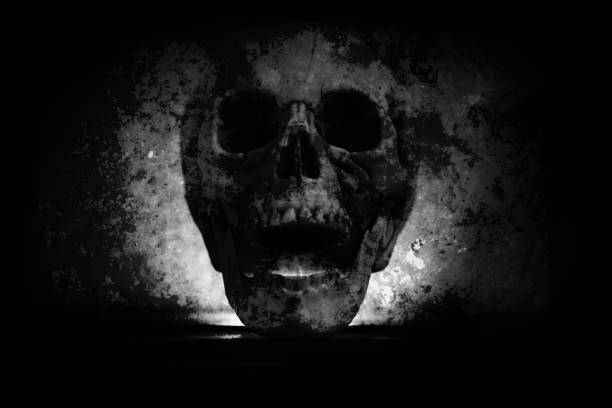 istock Human Skull head on blur dark black background - Old scary grunge skull vintage style 1159318545