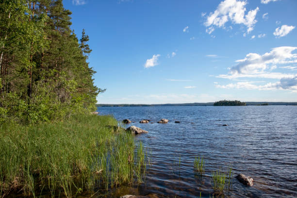 istock Lake scenery in Malonsaari, Imatra Finland 1159318700
