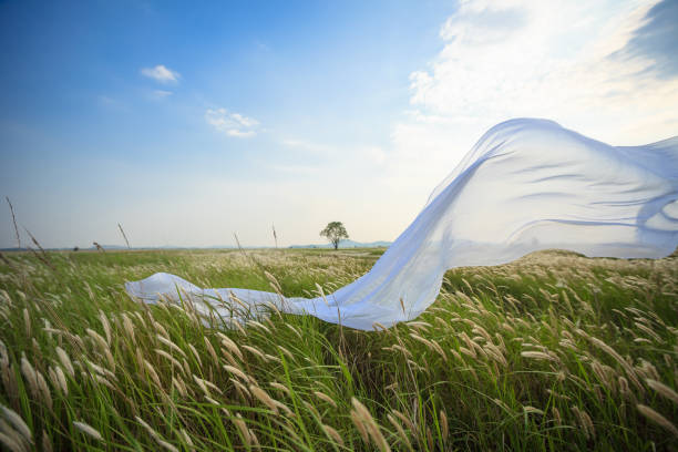 a woman and cloth in a field.