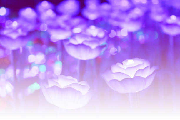 Beautiful glowing rose artificial flower.Selective focus glowing rose in dark background.