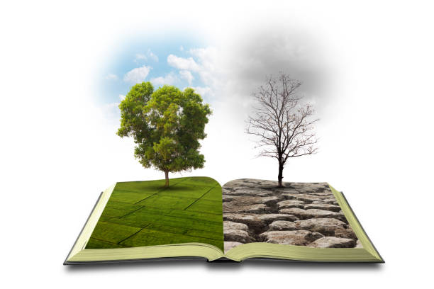 istock Concept an open book. Bipolarity. On one side, nature, on another smog and a drought isolated on white background 1159326218