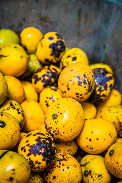 Ripe mangoes