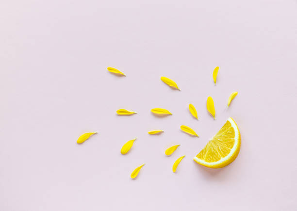 istock lemon with flower concept, freshness 1159331113