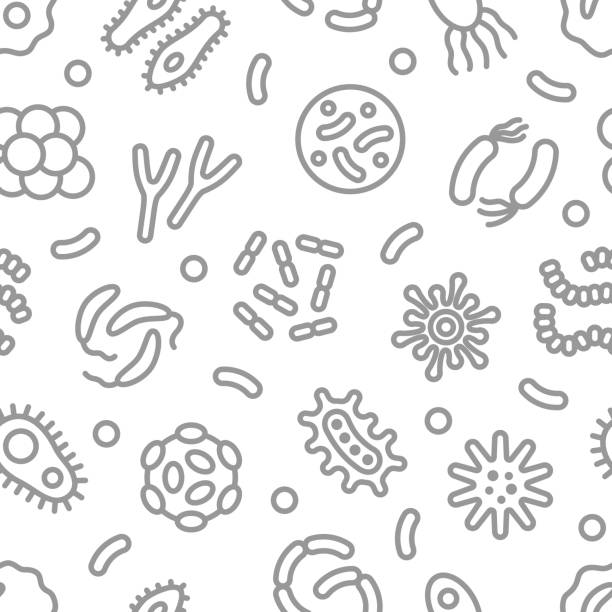 Bacteria, microbe, virus outline vector seamless pattern Bacteria, microbe, virus outline vector seamless pattern. Microscopic bacterium and bacillus collection, isolated on white background probiotic pattern stock illustrations