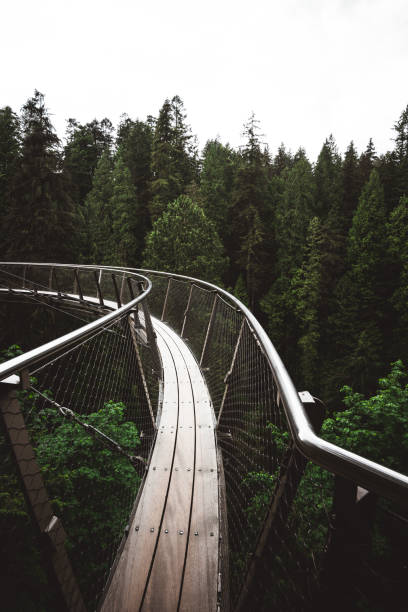 istock suspension bridge in vancouver 1159339416