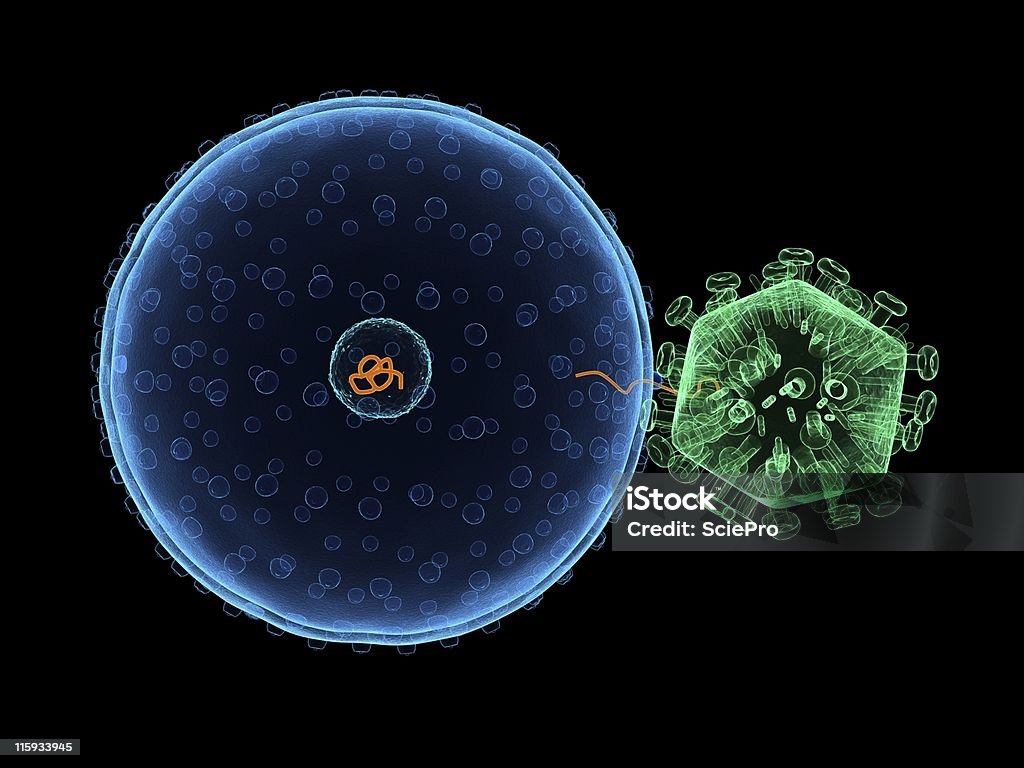 ウイルス infecting セル - 3Dのロイヤリティフリーストックフォト