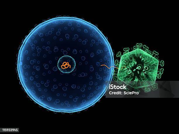 Virus Infecting Cell Stock Photo - Download Image Now - AIDS, Bacterium, Biological Cell