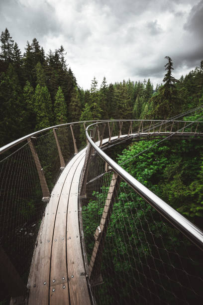 istock suspension bridge in vancouver 1159339468