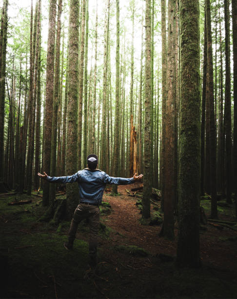 istock man hiking in british columbia 1159340898
