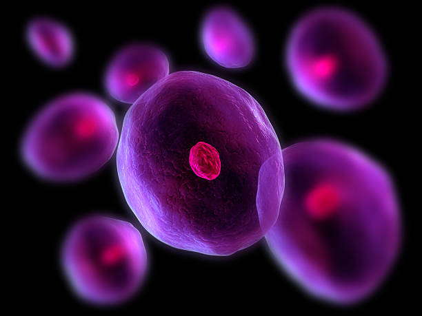 células - cytoblast - fotografias e filmes do acervo