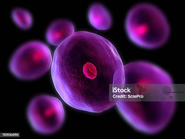 As Células - Fotografias de stock e mais imagens de Ampliação - Ampliação, Bactéria, Biologia