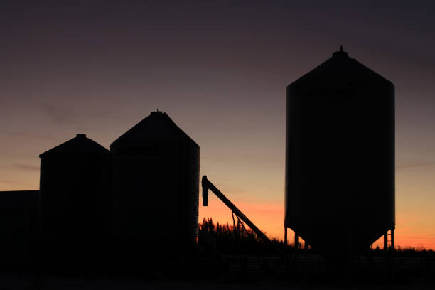 istock Grain silos on farmland silhouetted by a sunset 1159344070