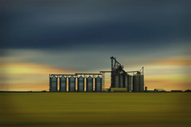 Inland grain terminal with the capacity to ship grain by rail
