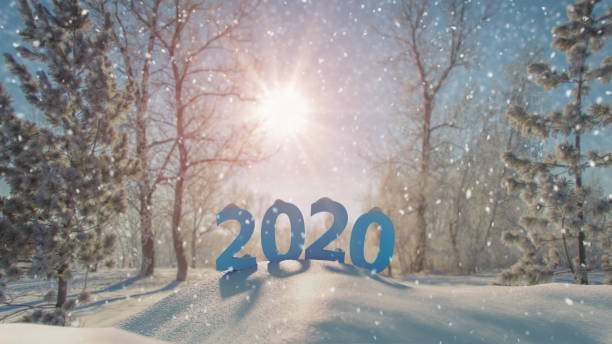 istock Text 2020 in winter park 3D rendering illustration 1159346336