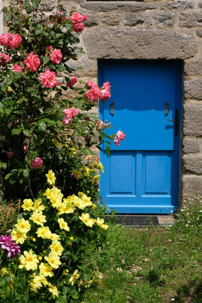 istock The little flower garden 1159347779