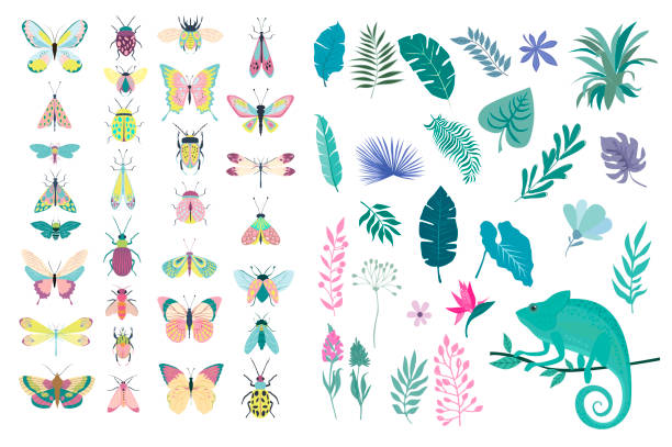 Set of plants and insects - beetles, butterflies, moths. Set of plants and insects - beetles, butterflies, moths. Editable vector illustration dragonfly drawing stock illustrations