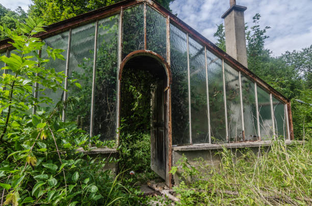 istock abandoned glass house detail 1159349982