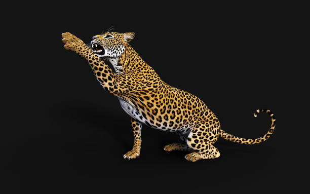 istock 3d Illustration Leopard, Panthera Pardus, Tiger 1159351643