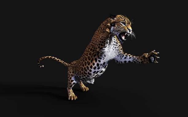 3d Illustration Leopard, Panthera Pardus, Tiger