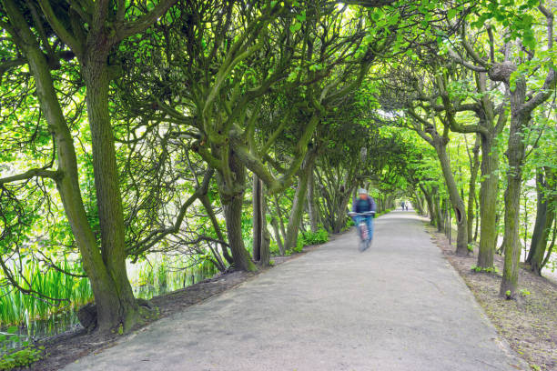 Gdansk in Poland, the famous Oliwa Park with a unique linden alley, where tourists walk in the direction of the flower gardens and beautiful architecture