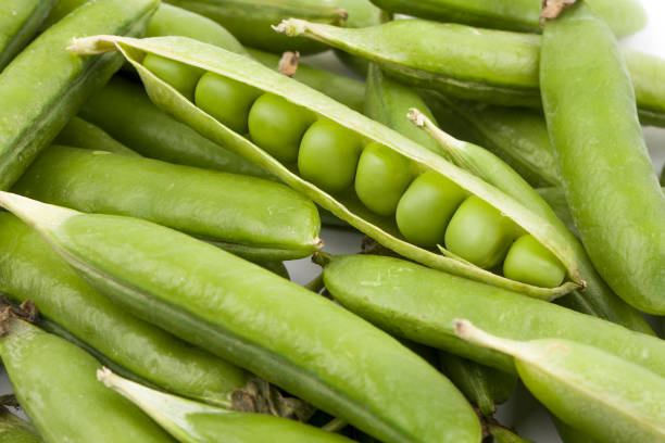 istock fresh pea pods isolated on white background. 1159355876