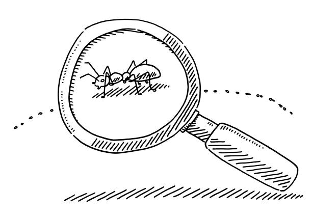 увеличение стекла ant символ рисунок - magnified image stock illustrations