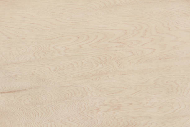 Photo of Plywood surface in natural pattern with high resolution. Wooden grained texture background.