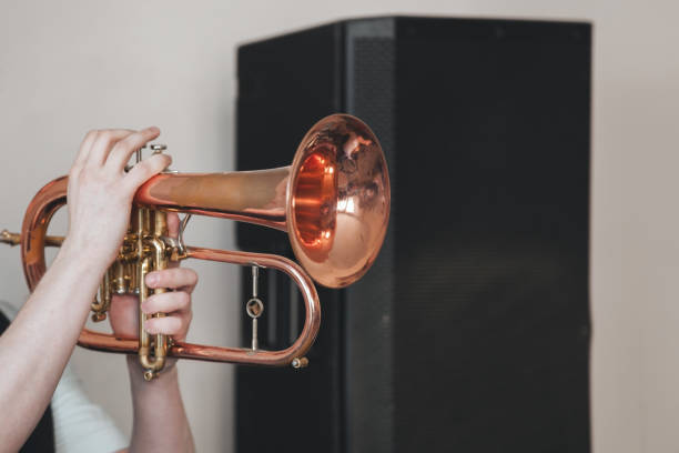 istock Live music background, flugelhorn 1159356661