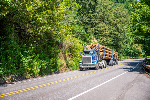 측면에 숲과 녹색 도로에 운전 세미 트레일러에 나무 통나무를 운반 블루 큰 장비 세미 트럭 - lumber industry truck truck driver log 뉴스 사진 이미지