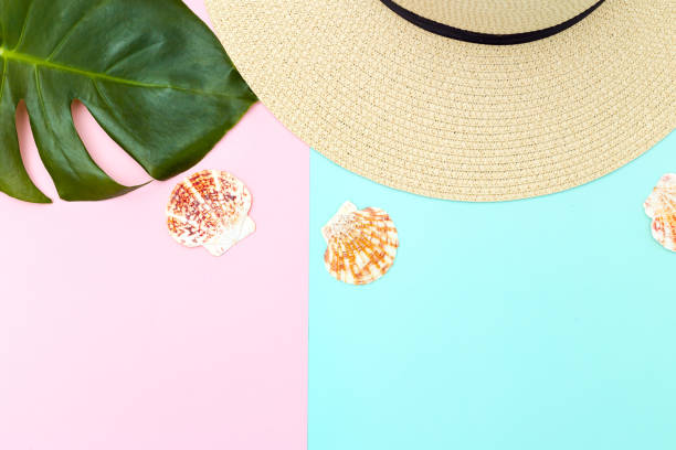 istock Travel background. seashells and leaf monstera 1159357397