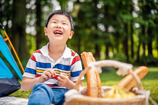 Cheerful Asian boy having a picnic in forest park.