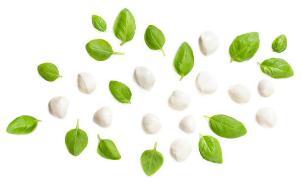 istock Creative layout with Mozzarella balls and  basil leaves isolated  on white background. Top view 1159364969