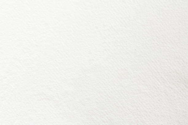 istock White paper texture for use as a background. High quality photography. 1159365549