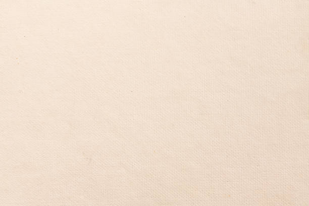 istock paper texture for use as a background. High quality photography. 1159365618