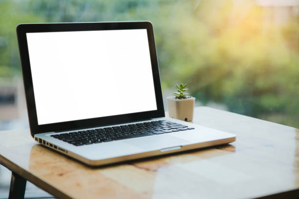 istock laptop and green plant on wooden table 1159366532
