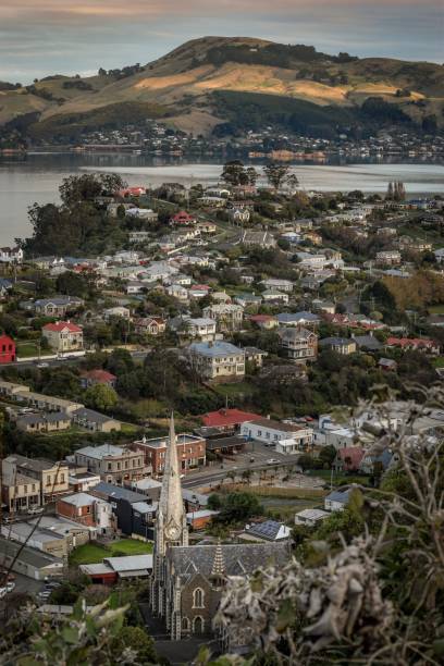 istock Port Chalmers views over Otago harbour and Peninsula 1159367580