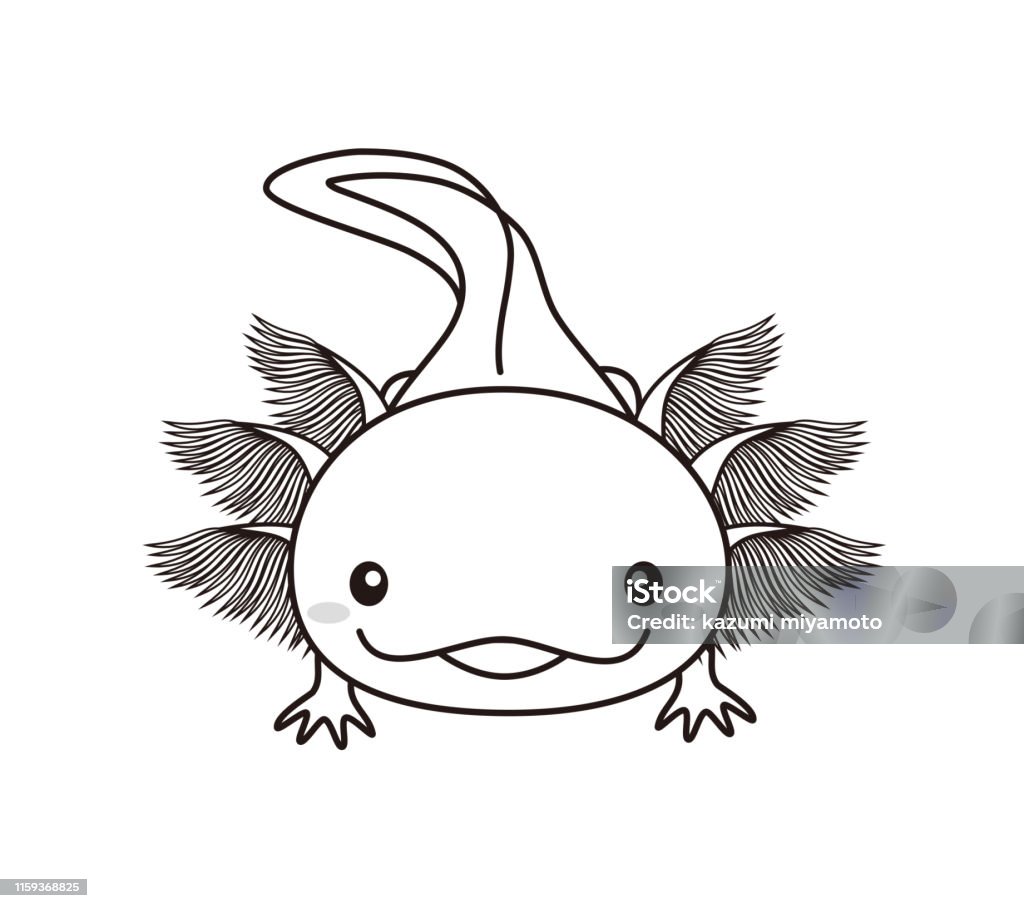 Ilustración de Ilustración Del Libro Para Colorear De Personajes De Ahorlotl Woper Looper y más Vectores Libres de Derechos de Acuario - Equipo para animales domésticos - iStock Ilustración de Ilustración Del Libro Para Colorear De Personajes De Ahorlotl Woper Looper y más Vectores Libres de Derechos de Acuario - Equipo para animales domésticos - iStock