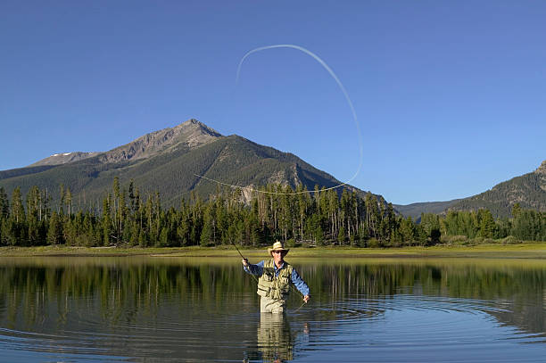 istock Fly Fishing with Waders  in Mountain Lake 115936942