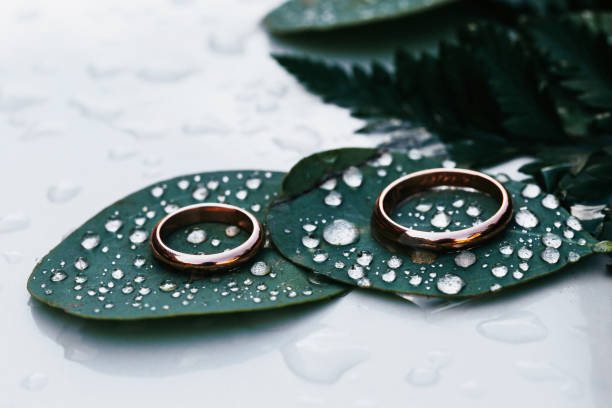 istock Two wedding rings placed on green leaves covered with beautiful raindrops. 1159370254