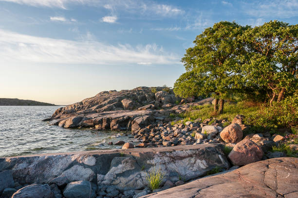 mediados del verano en las islas aland - skerries fotografías e imágenes de stock